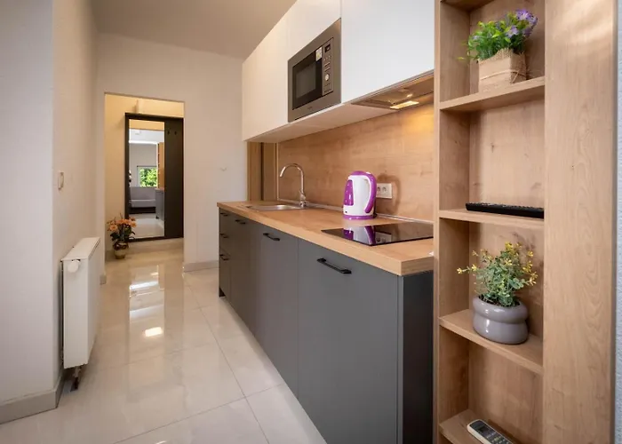 Serbecic ゲストハウス 3*